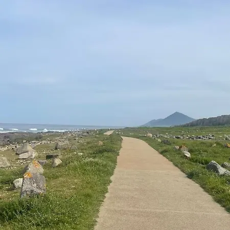 Estrela Do Mar T3 De Ancora