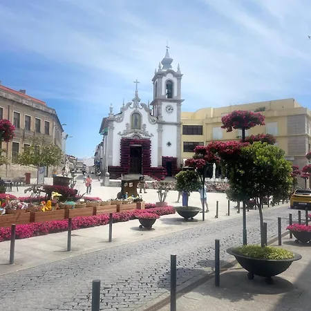 Estrela Do Mar T3 De Ancora