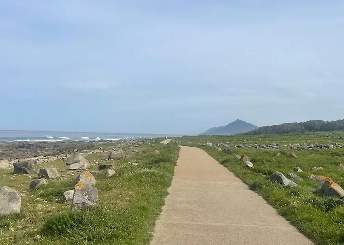 Estrela Do Mar T3 De Ancora