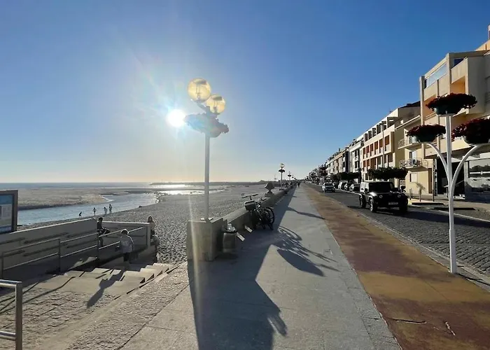 Estrela Do Mar T3 De Ancora *