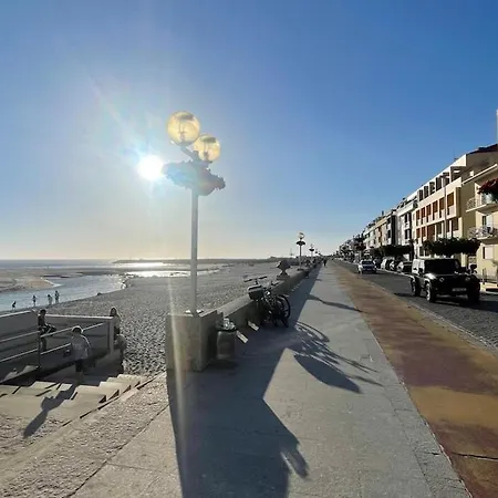 Estrela Do Mar T3 De Ancora *