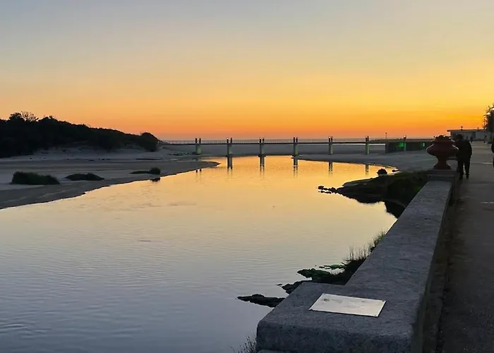 Estrela Do Mar T3 De Ancora