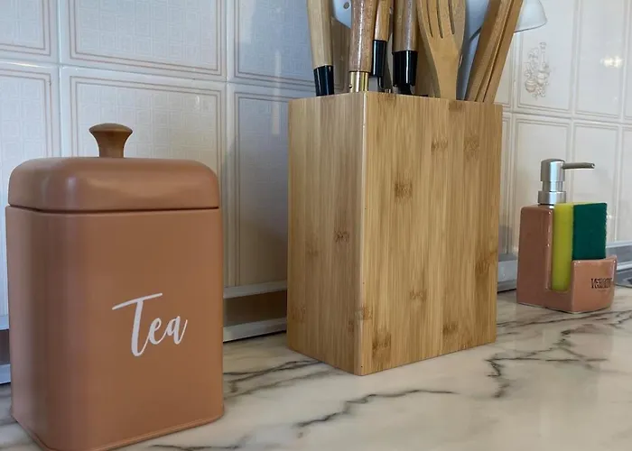 Estrela Do Mar T3 De Ancora *