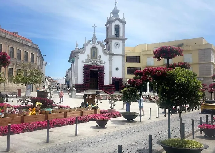 Estrela Do Mar T3 De Ancora